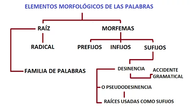 análisis morfólogico 3 análisis morfólogico 3
