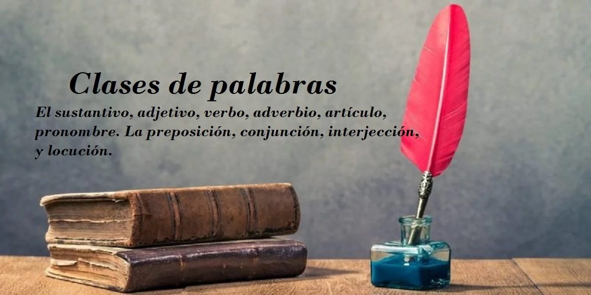 clases de palabras