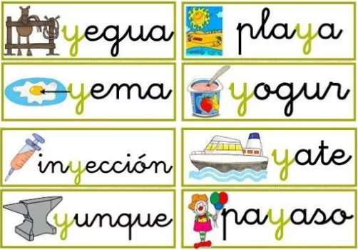 reglas de la ll - y 4 reglas de la ll - y 4