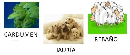 sustantivos 4 sustantivos 4