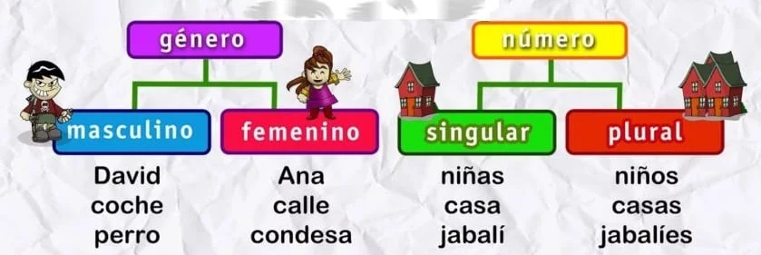 sustantivos 5 sustantivos 5