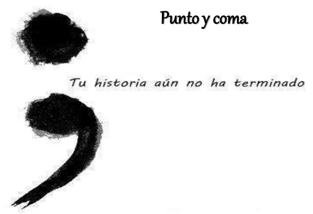 El punto y coma_4
