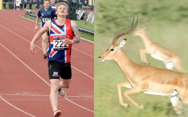 Símil_1