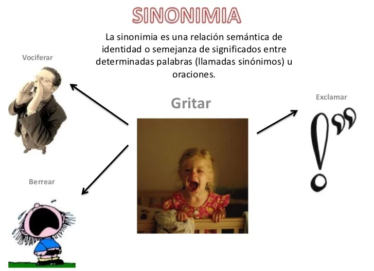 Sinonimia_1