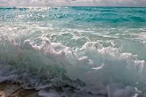 Oraciones con la palabra agua